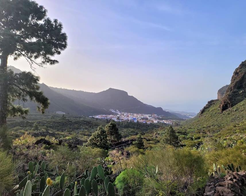 Hikers Haven Courtyard Apartment Tamaimo Tenerife El Molledo Exterior photo